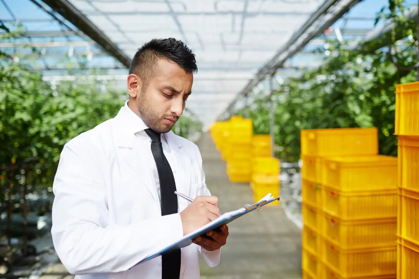 Bitte sende mir die ursprüngliche Bildbeschreibung auf Deutsch, damit ich sie umformulieren kann.